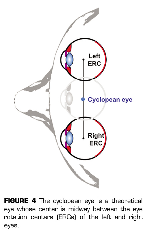 Alternation, cyclopean eye and the attentional spotlight