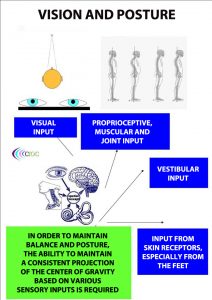 Vision and posture